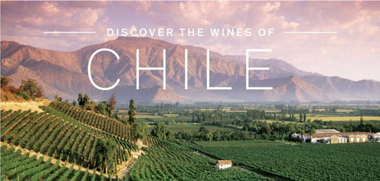 ไขความลับแหล่งผลิตไวน์ชั้นเลิศของโลก ณ ประเทศชิลี