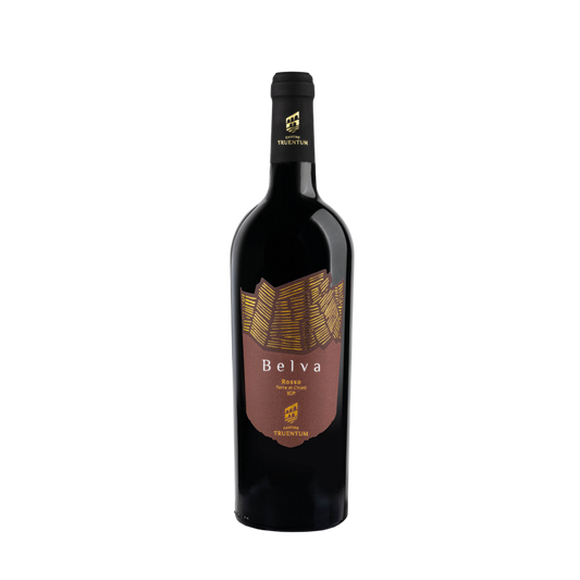 Truentum Belva Passito Rosso Colli Aprutini 2022 700ml.